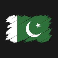 pakistan flaggborste vektor