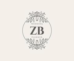 zb initialer brev bröllop monogram logotyper samling, hand dragen modern minimalistisk och blommig mallar för inbjudan kort, spara de datum, elegant identitet för restaurang, boutique, Kafé i vektor