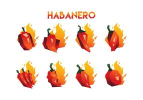 Kostenlose Habanero Vector Collection