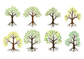 Träd med rötter vektorikoner