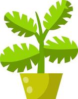 Hem växt i pott. stor grön leaves.element av dekoration och trädgårdsarbete. tecknad serie platt illustration. hobbies och flora. vektor