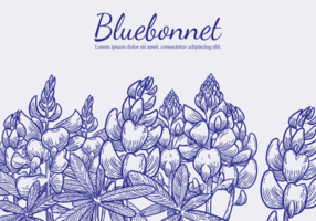 Freie Hand gezeichnete Bluebonnet Blumenvektoren vektor