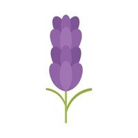 Bio-Lavendel-Symbol flach isolierter Vektor