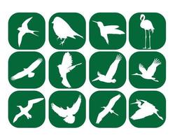 Vögel in den grünen Quadraten auf weißem Hintergrund vektor