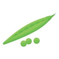 grüne bohne zink symbol isometrischer vektor. Vitamin zn vektor