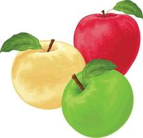 äpplen. ett bild av äpplen av annorlunda färger. röd grön och gul äpple. en samling av tre äpplen. vektor illustration isolerat på en vit bakgrund.