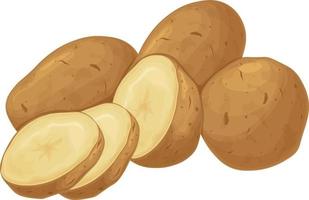 potatis. potatis knölar. en mogen grönsak. vegetarian produkt. skivad potatisar. vektor illustration isolerat på en vit bakgrund