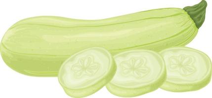 Zucchini. Bild von geschnittenen Zucchini. vegetarisches Gemüse aus dem Garten. landwirtschaftliches Gemüse. Vektor-Illustration isoliert auf weißem Hintergrund vektor