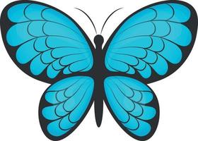 fjäril. de bild av en skön blå fjäril. en ljus fjäril. vektor illustration isolerat på en vit bakgrund