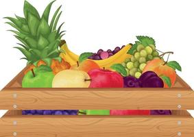 Obst. eine Holzkiste mit Früchten wie Ananas, Banane, Birnen, Äpfel und auch Pflaumen, Pfirsiche, Weintrauben. Obst in der Schublade. Vegetarische Produkte. Vektor-Illustration vektor