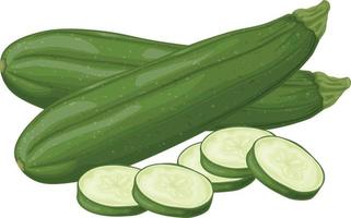 Zucchini. Bild von geschnittenen Zucchini. vegetarisches Gemüse aus dem Garten. landwirtschaftliches Gemüse. Vektor-Illustration isoliert auf weißem Hintergrund vektor