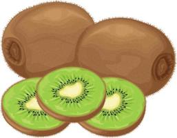 Kiwi. reife Kiwi. Bild einer reifen Kiwi. Vitamin Frucht. vegetarische Bio-Produkte. Vektor-Illustration isoliert auf weißem Hintergrund vektor