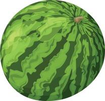 vattenmelon. bild av en mogen vattenmelon. randig vattenmelon. vektor illustration isolerat på en vit bakgrund