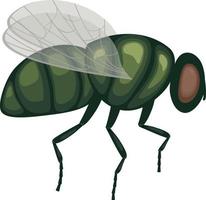 eine grüne Fliege im Flug .ein fliegendes Insekt. Bild einer Fliege, Seitenansicht. ein fliegendes Insekt. Vektor-Illustration isoliert auf weißem Hintergrund vektor
