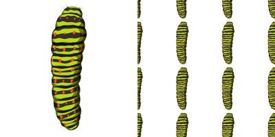 Raupeninsekt lokalisiert auf weißem Hintergrund und nahtlos vektor