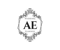 ae initialer brev bröllop monogram logotyper samling, hand dragen modern minimalistisk och blommig mallar för inbjudan kort, spara de datum, elegant identitet för restaurang, boutique, Kafé i vektor