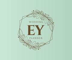 Ey Initialen Brief Hochzeit Monogramm Logos Sammlung, handgezeichnete moderne minimalistische und florale Vorlagen für Einladungskarten, Save the Date, elegante Identität für Restaurant, Boutique, Café im Vektor