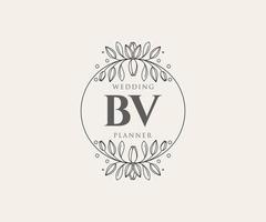 bv initialen brief hochzeitsmonogramm logos sammlung, handgezeichnete moderne minimalistische und florale vorlagen für einladungskarten, save the date, elegante identität für restaurant, boutique, café im vektor