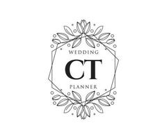 ct initials brief hochzeitsmonogramm logos sammlung, handgezeichnete moderne minimalistische und florale vorlagen für einladungskarten, save the date, elegante identität für restaurant, boutique, café im vektor