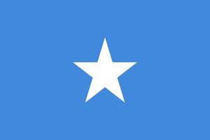 Flagge von Somalia-Vektor-Illustration. vektor