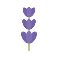 botanik lavendel- ikon platt isolerat vektor