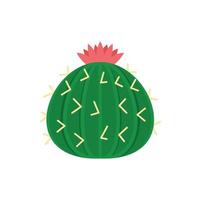 öken- kaktus ikon platt isolerat vektor