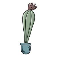 vektor klotter illustration av Hem växt, kaktus i en pott.