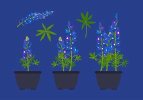 Bluebonnet blomma växtfri vektor