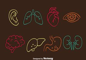 Human Organ Line Icons Vector