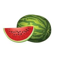 Geschnittener Wassermelonen-Symbol-Cartoon-Vektor. Obst schneiden vektor