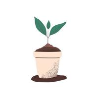 Vektor-Illustration einer Topfpflanze. sprießen. die Jungpflanze. Sämlinge vektor