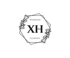 första xh feminin logotyp. användbar för natur, salong, spa, kosmetisk och skönhet logotyper. platt vektor logotyp design mall element.