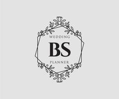 bs initialer brev bröllop monogram logotyper samling, hand dragen modern minimalistisk och blommig mallar för inbjudan kort, spara de datum, elegant identitet för restaurang, boutique, Kafé i vektor