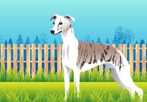 Gullig Whippet Dog Breed Vector