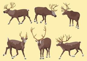 Caribou Vector Ikoner