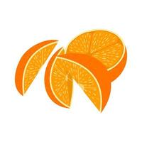 apelsinskivor med skal vektor
