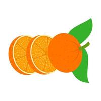 orange fruktskivor vektor