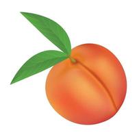 färsk persika ikon, realistisk stil vektor