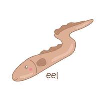alfabet e för ål ordförråd illustration vektor ClipArt