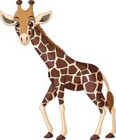 Cartoon-Giraffe isoliert auf weißem Hintergrund vektor