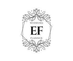 ef initials brief hochzeitsmonogramm logos sammlung, handgezeichnete moderne minimalistische und florale vorlagen für einladungskarten, save the date, elegante identität für restaurant, boutique, café im vektor