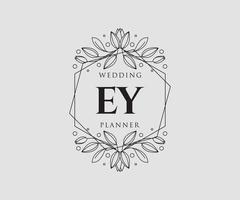 ey initialer brev bröllop monogram logotyper samling, hand dragen modern minimalistisk och blommig mallar för inbjudan kort, spara de datum, elegant identitet för restaurang, boutique, Kafé i vektor