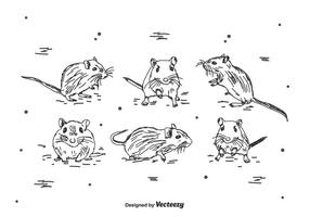 Handdragen Gerbil Vector Set