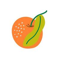 vektorillustration der frischen orange mandarine lokalisiert auf weiß. gesunde und saftige exotische Zitrusfrüchte. einfaches handgezeichnetes Element. vektor