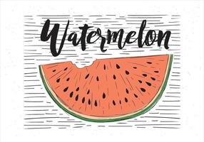 Gratis vektor handdragen vattenmelon illustration