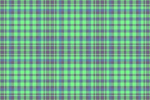 tartan vektor kolla upp. tyg bakgrund textur. sömlös textil- mönster pläd.