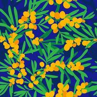 bakgrund med hav brakved en gren av hav brakved, bär och löv. sömlös blommig prydnad. vektor illustration.