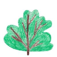grön träd dragen förbi hand med färgad pennor. tecknad serie stil. isolerat på vit bakgrund vektor