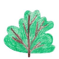 grüner Baum von Hand mit Buntstiften gezeichnet. Cartoon-Stil. isoliert auf weißem Hintergrund vektor