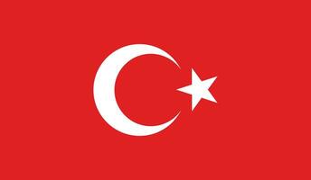Design der türkischen Flagge vektor